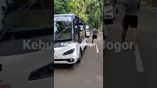 Jalan-jalan dikebun Raya Bogor, ada apa saja? #shorts