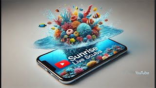 Monday LIVE Underwater LiveStream