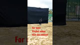 Best tips for short catches 🏏🏏 #shorts #ytshorts #shortsfeed