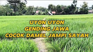 ALUNAN GENDING JAWA KUNO COCOK DAMEL JAMPI SAYAH.