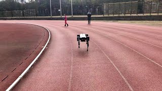 "Jingying" set a new record of quadruped robots for endurance