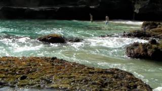 HALONA COVE and BLOWHOLE HD "Waydes World Hawaii"