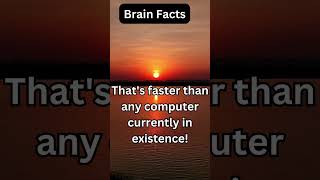 Deep Facts That Will Make You Question Everything.#brain#computer#deep fact