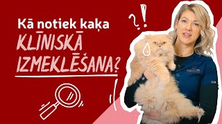 Kā tiek veikta dzīvnieka klīniskā izmeklēšana?