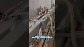 PVC Door Edge Extrusion Mold/die/tool Running Video