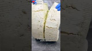 Pembuatan keju GORGONZOLA CHEESE #shorts #keju #italia #viral