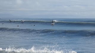 4K UHD - Surfing Scarborough in Autumn 2024 - Christchurch - South Island - New Zealand