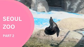 Seoul Children Grand Park Zoo Part 2 #seoul #thingstodoinseoul