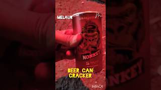 ये क्या है 😯😯 beer can cracker diwali testing #crackers #trendingshorts #shorts #new