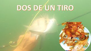 PESCANDO con ARPÓN y COCINANDO en un estero