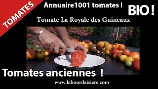 Tomate.11.Vous avez Faim ? Mangez sain ! Incroyable ! Nature et Jardin.La Royale des Guineaux