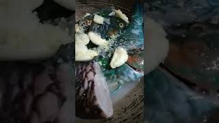 #paksiw #fish #viralvideo #satisfying #shortsvideo #shorts