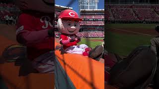 MLB Mascot MR RED signs a baseball, tells off a grounds guy and steals someone's phone #news #sports