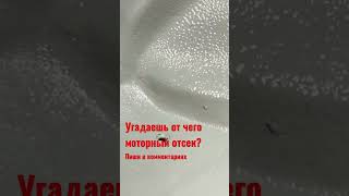 Моторный отсек от какой машины ?