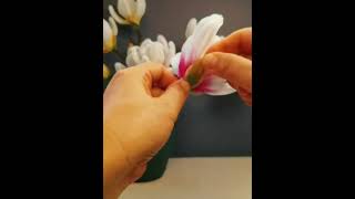 Jade Orchid Tutorial Video