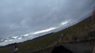 Grass field goose hunt pt 2