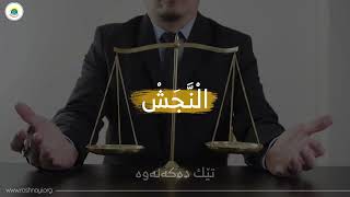 زیادکردنی نرخی کاڵا بۆ فریودانی