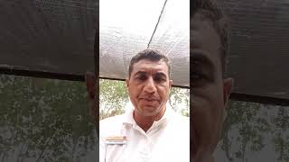 من مشتل الفندق بأقل الإمكانيات 27/4/2024