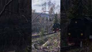 SCHIERKE #Schierke #harz #railway #nature #shorts #eisenbahn #harzerschmalspurbahn #summer #train