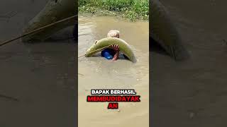 Ikan Kolam Sebesar Manusia #Shorts #Fish #Fishing #bigfish