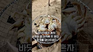 금방 잡은 깨다시 꽃게 가장 맛있게 먹는 방법