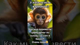 Минутка юмора 🤣 смех до слёз 🤣 нужен совет😁