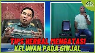 Tips Herbal Mengatasi Keluhan Pada Ginjal