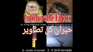 24 Photos That You Never Seen Before  ٢٦ تصاویر جو اپ نے پہلے کھبی نہیں دیکھی