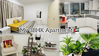 Finally Apartment Mill Gaya🇦🇪||Deep Cleaning+ Maintenance Start|| Please Positive Socha Karain||