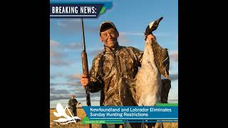 🇨🇦 Newfoundland and Labrador Eliminates Sunday Hunting Restrictions