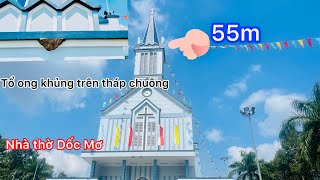 Tổ ong khủng trên tháp chuông nhà thờ cao 55m #398phancongbang