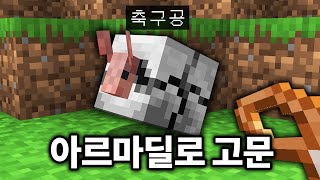 알아두면 유용한 5가지 아르마딜로 고문하는 법 (마인크래프트)