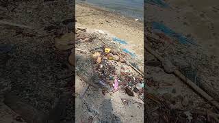 Bunker Beach Cleanup: Contrasting Andamans & Maldives 🏖️🌍 #IslandEthics #TravelRealityCheck