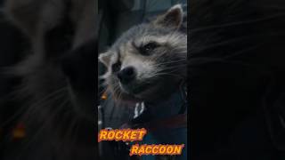 Rocket raccoon edit #edit #rocketraccoon #marvel