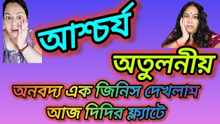 সারাটাদিন কেনাকার পর দিদির ফ্ল্যাটে দেখতে পেলাম এই আশ্চর্য জিনিস @apvlogs1412 @CreationofMou