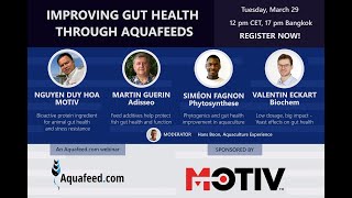 Aquafeed.com: Improving gut health through aquafeeds