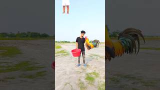 Flying crying babies Catching vs hen, parrot & puppy & yellow lizard- #funny #short😀😄