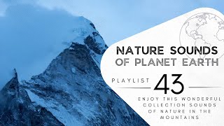 3 hours of pleasant natural sounds - of nature in the mountains.