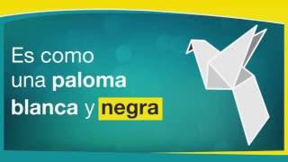 Es como una paloma blanca y negra. ¿Qué podrá ser?