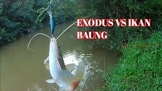 EXODUS VS IKAN GEMBLUNG MANCING CASTING || kir Yanto 77