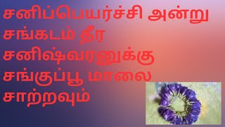 #Sangupoomalai  how to tie sangu poo Garland/சனிப்பெயர்ச்சிகு சங்குப்பூ மாலை  சாற்றவும் # learntonew