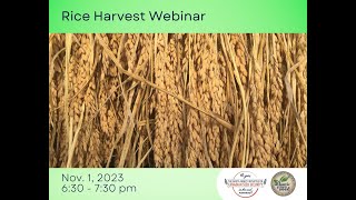 Rice Harvest Webinar