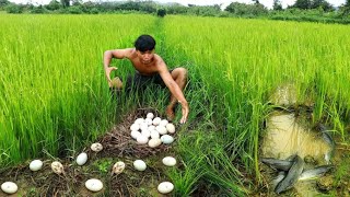 Man find fish and met egg duck | grilled fish for dog - Eating delicious