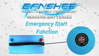 Banshee Group 31 LiFeP04 Lithium Battery - Ultra-Light 1200CCA, Superior Lifespan - 5 Year Warranty