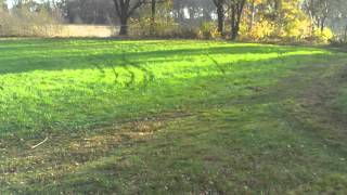 MTB Assen Herfst toertocht 2015