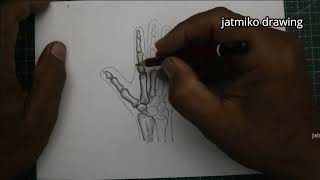 draw the bone structure of the hand