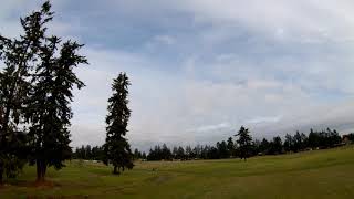 Blade IRC Vortex 230 Mojo maiden flight at  Fort Steilacoom Park 11-24-2018