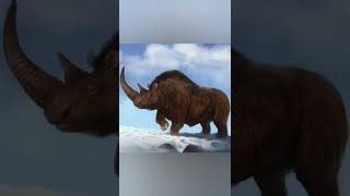 Scientists are trying to bring these animals back: 5 | Woolly Rhinoceros #animals #shorts #facts