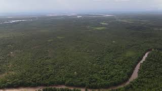 500-meter-high video shows the forest in KROCHES, Cambodia, 2020 - 4K video