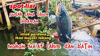 mancing liar//sudah lama libur lebaran dapet ikan besar...!!!mohon ma'af lahir batin